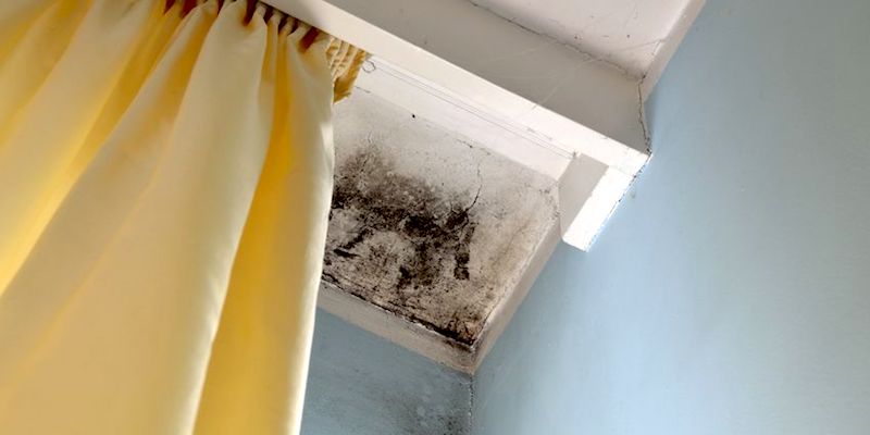 Sell Your New Orleans House with Mold to Big Easy Buyers